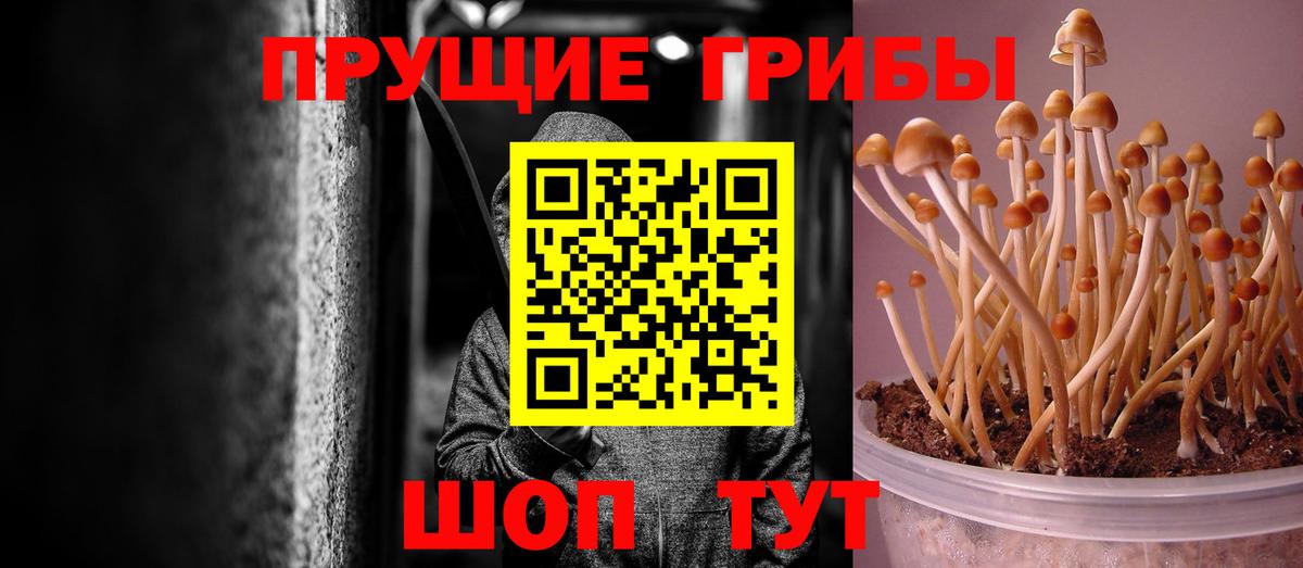 Галлюциногенные грибы MAGIC MUSHROOMS Гурьевск